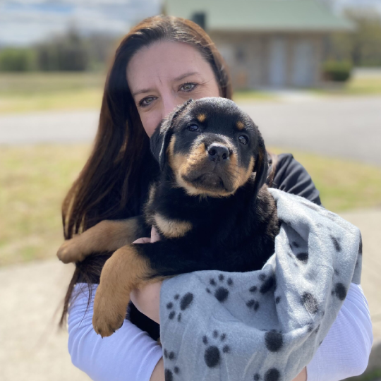 A woman holding a black and tan puppy wrapped in a grey blanket with paw prints