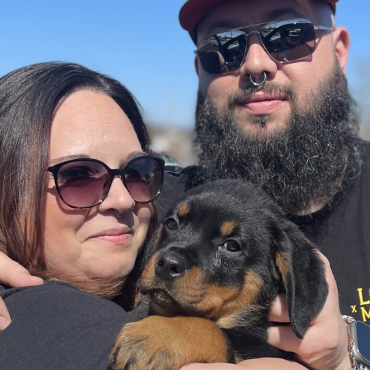 A couple faces holding a small black and tan puppy